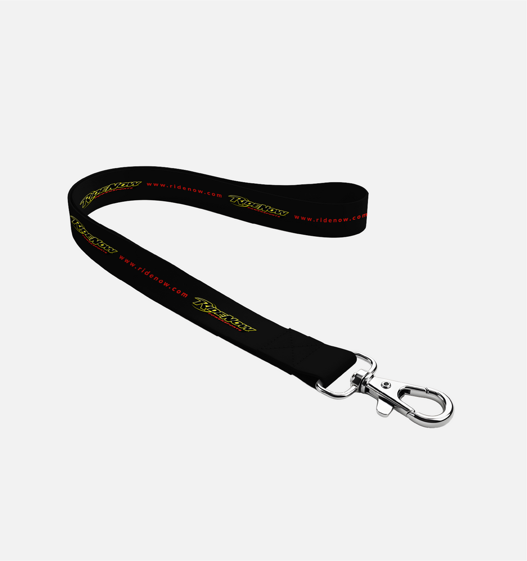 Lanyard