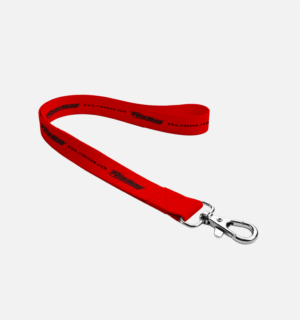 Lanyard